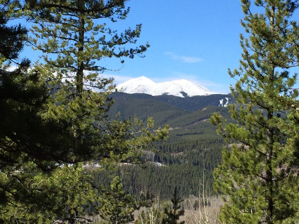 Beautiful mountains in Elbow Valley.