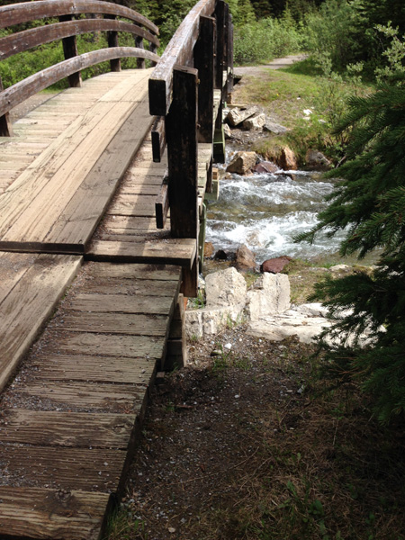 Clearing the creek to get to the trail.