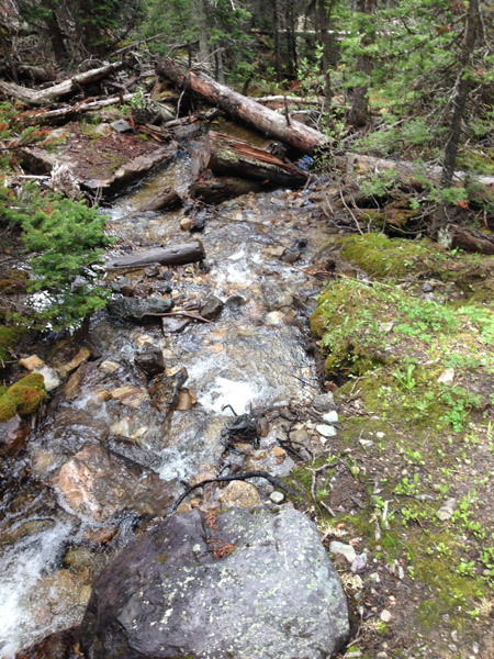 5 Boom Lake hike