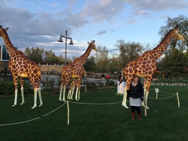 Illuminasia Calgary Zoo giraffe