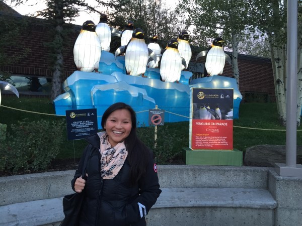 Illuminasia Calgary Zoo penguins