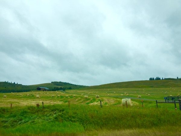 straw-bales-alberta-custom