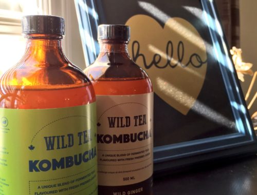 Bottles of Wild Tea Kombucha