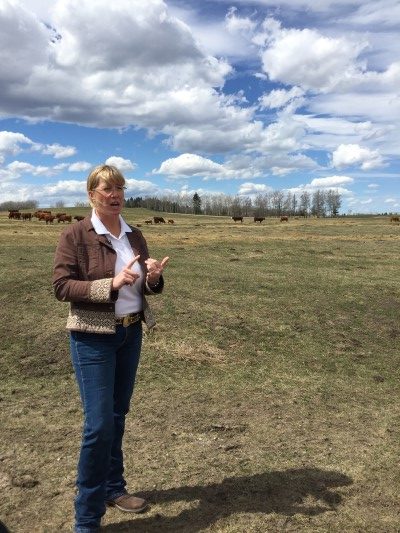 Owner and rancher Cherie Copithorne-Barnes.