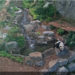 Still from Calgary Zoo PandaCam
