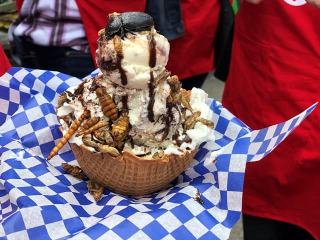 Beetles, mealworms and other bugs on a bowl of ice cream at the Stampede midway