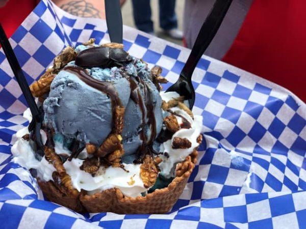 Bugs on bowl of ice cream at Stampede midway