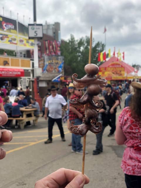 Mini octopus lolly on a stick at Calgary Stampede