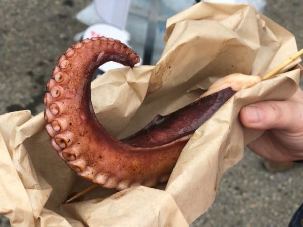 Large octopus tentacle at Calgary Stampede midway