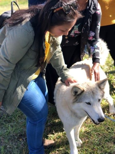 Irene petting a wolfdog.